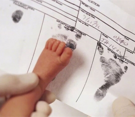 孕妇梦见鸭子什么意思，深圳代怀孕梦到鸭子是生男还是生女？