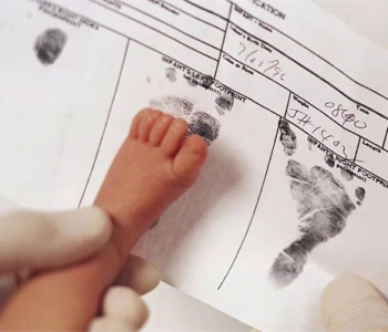 孕妇梦见鸭子什么意思，深圳代怀孕梦到鸭子是生男还是生女？